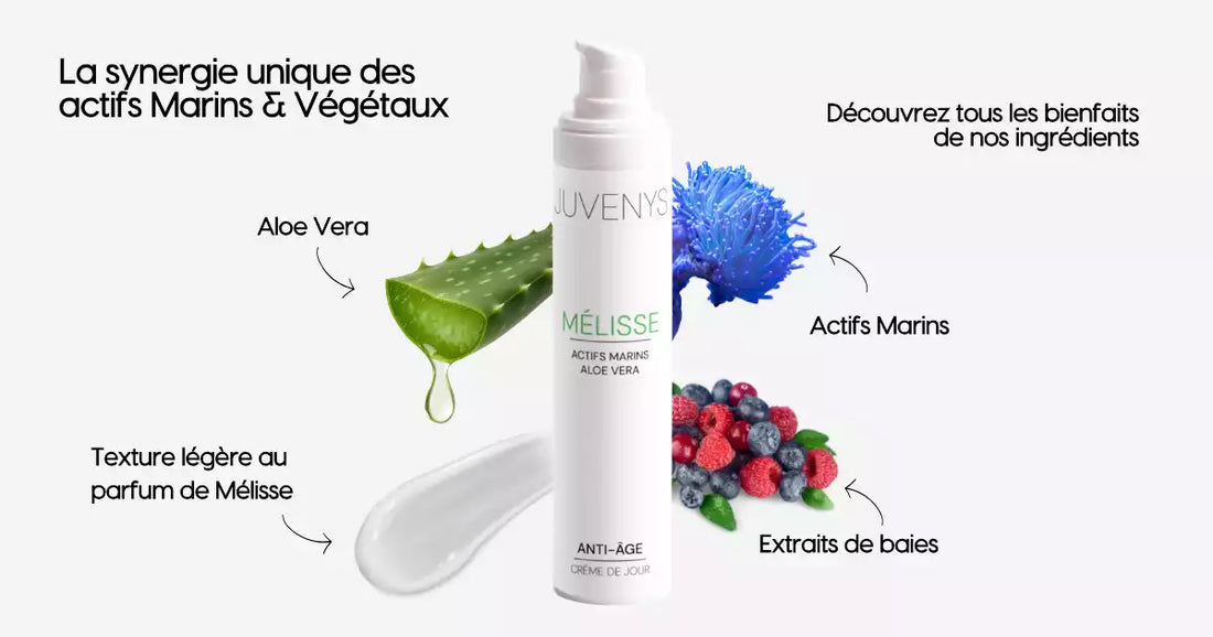 Les ingrédients nouvelle génération de la Crème Lissante & Hydratante Juvenys