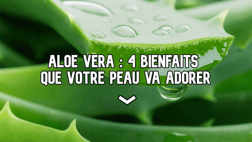 Tout savoir sur les bienfaits de l’aloe vera sur votre peau