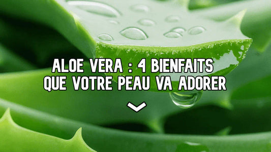 Tout savoir sur les bienfaits de l’aloe vera sur votre peau