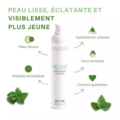 Collection Renaissance