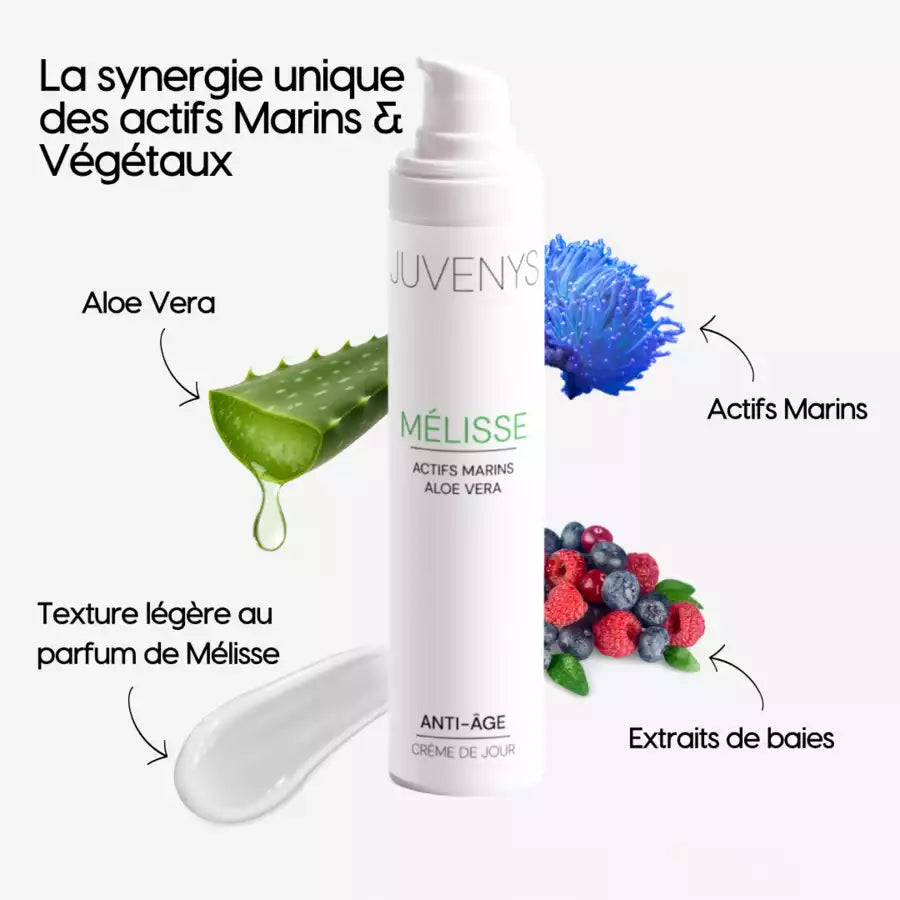 Collection Renaissance